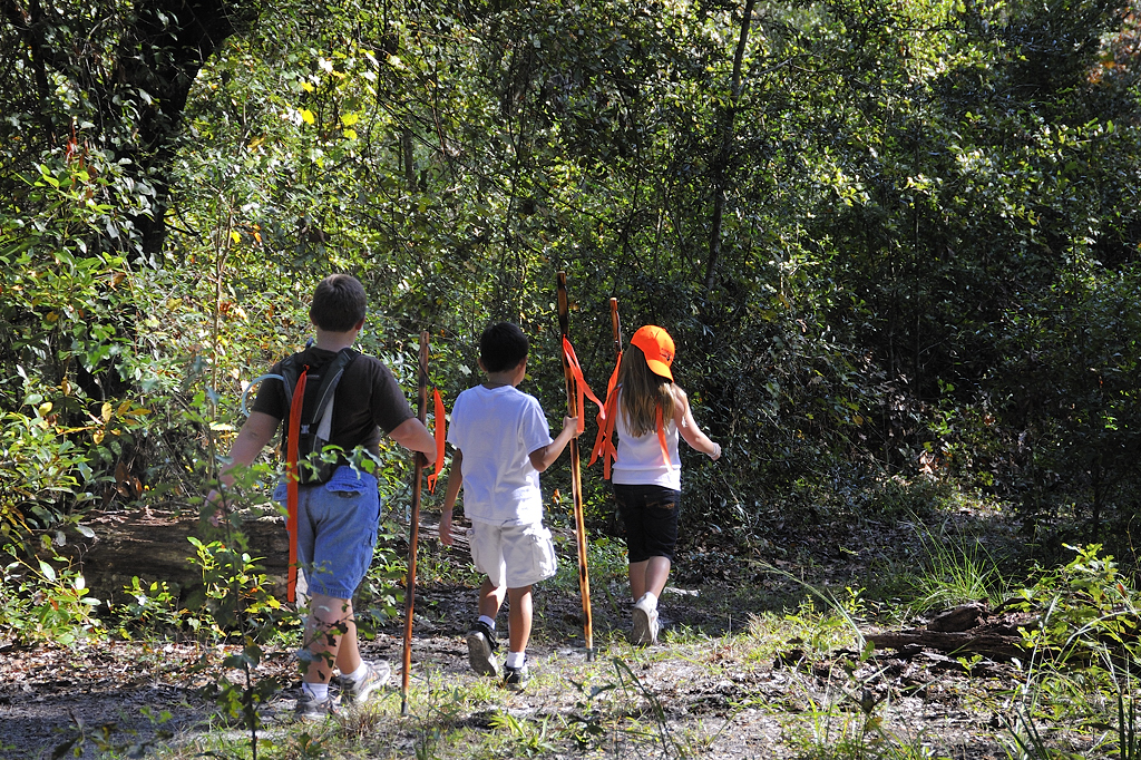 Children hiking together through a sunlit forest trail