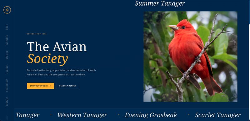 Avian Society