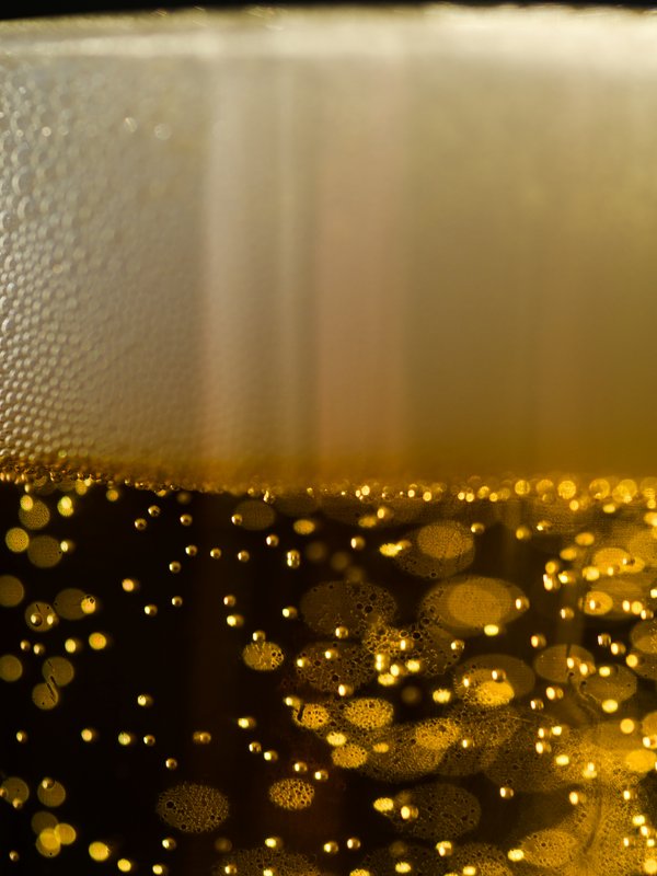 Palm Canyon Pils beer
